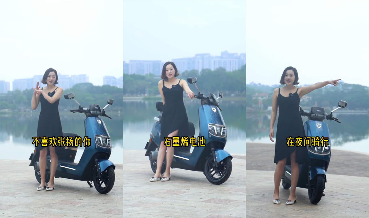 臺(tái)鈴電動(dòng)車(chē)